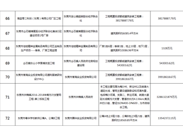主要監(jiān)理工程（十）