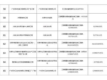 主要監(jiān)理工程（九）