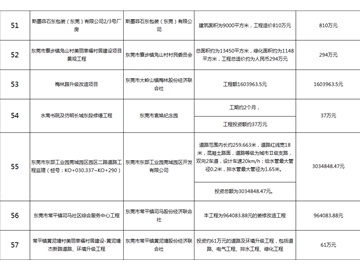 主要監(jiān)理工程（八）