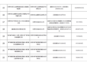 主要監(jiān)理工程（三）