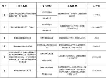 主要監(jiān)理工程（一）